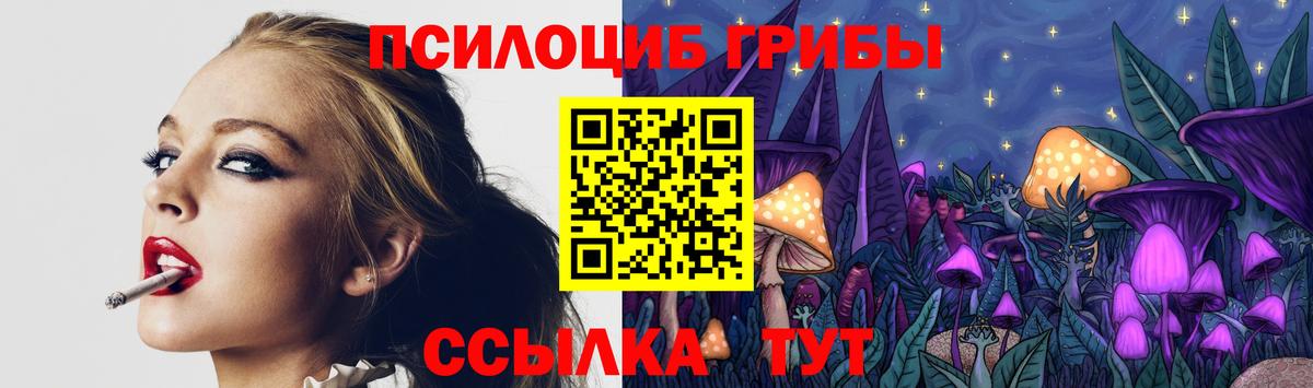 Псилоцибиновые грибы мухоморы  Галлюциногенные грибы Psilocybine cubensis  Вход с VPN  как найти закладки  Кропоткин 